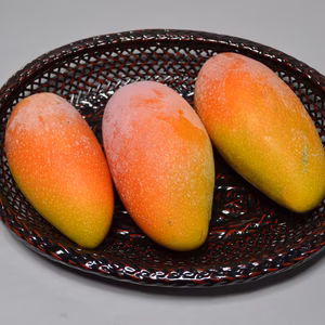 紅金煌マンゴー　上品な甘さとなめらかさ　約８００g（２～３玉）