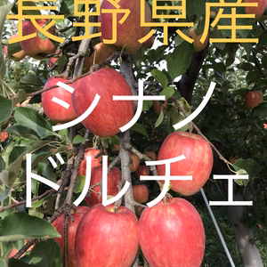 長野県産シナノドルチェ正品