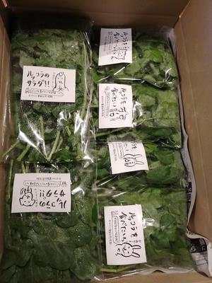 みんなの投稿の画像