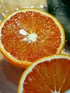   ブラッドオレンジ(タロッコ)無農薬　自然肥料　除草剤不使用　家庭用　わけあり