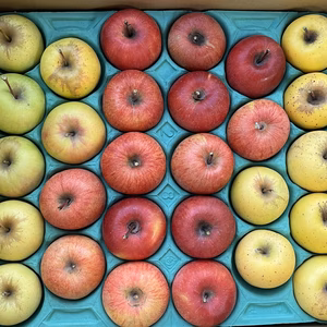 超ミニりんご詰合せ✨サンふじ ぐんま名月 シナノゴールド 28個入り