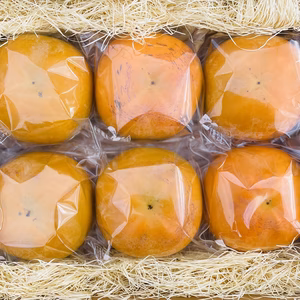 【贈答用】サクサク食感の【太秋柿】(冷蔵個包装) 4L 6個