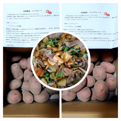 みんなの投稿の画像