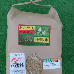 「合鴨米」無農薬・無肥料栽培・玄米10ｋｇ