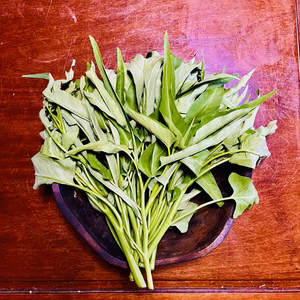 完熟堆肥で育ったイロンゴファームの【空芯菜】