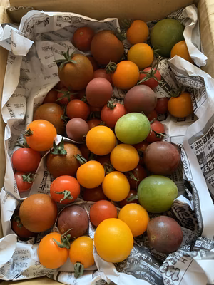 みんなの投稿の画像