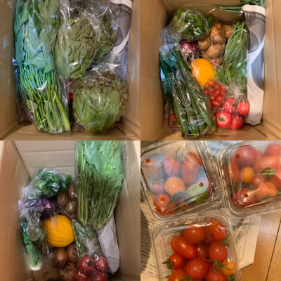 みんなの投稿の画像