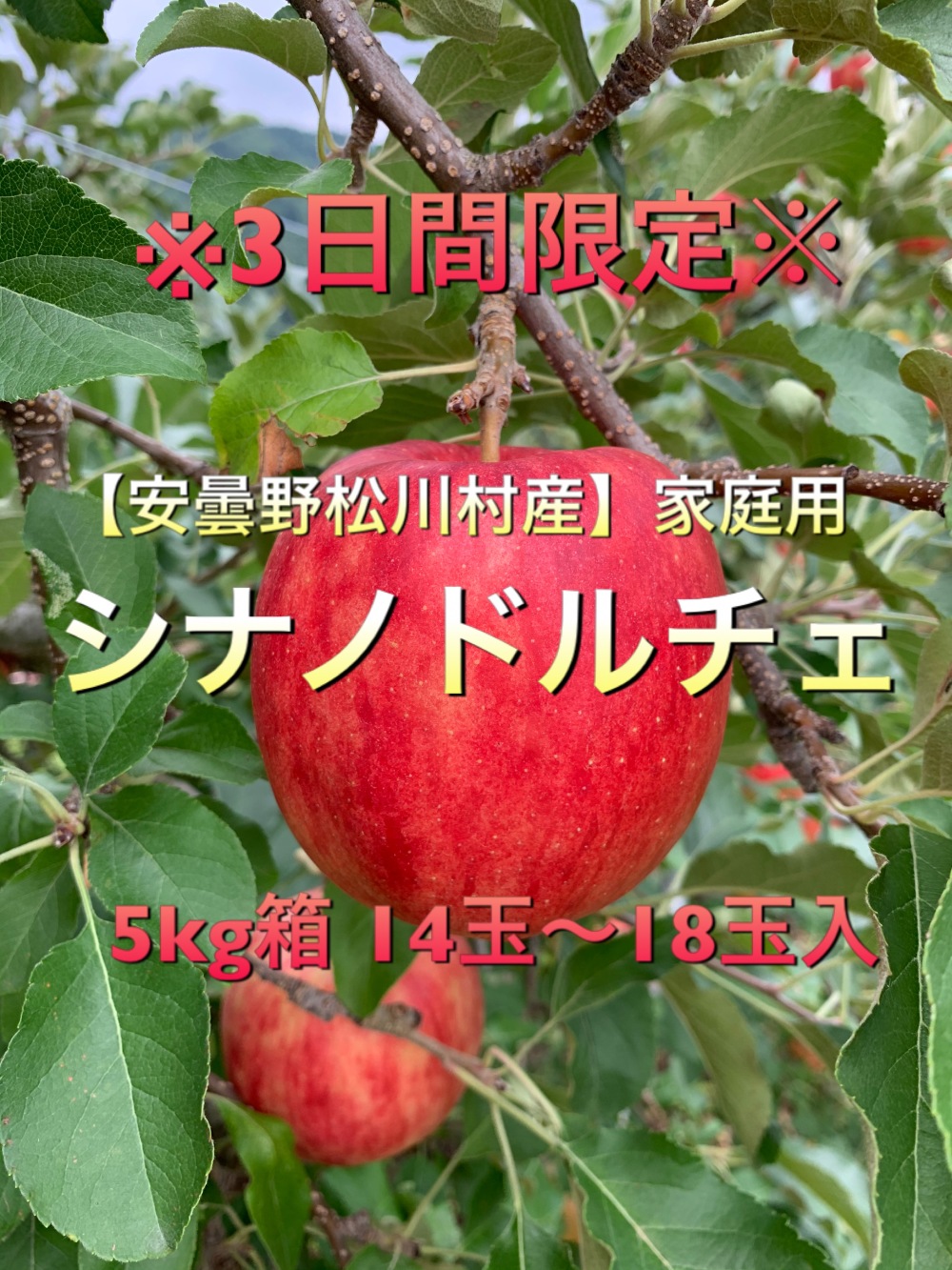 3日間限定 安曇野松川村産もぎたて シナノドルチェ 5kg家庭用 農家漁師から産地直送の通販 ポケットマルシェ