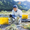 農薬不使用・化学肥料不使用のにんにく1kg！清流古座川に育まれた土地で作る野菜