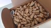 泉州産　生落花生（おおまさり）