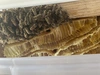 日本蜜蜂の純粋生蜂蜜　非加熱　200g×2個SET