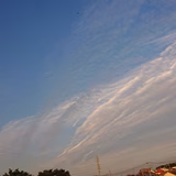 つばめさん♥️