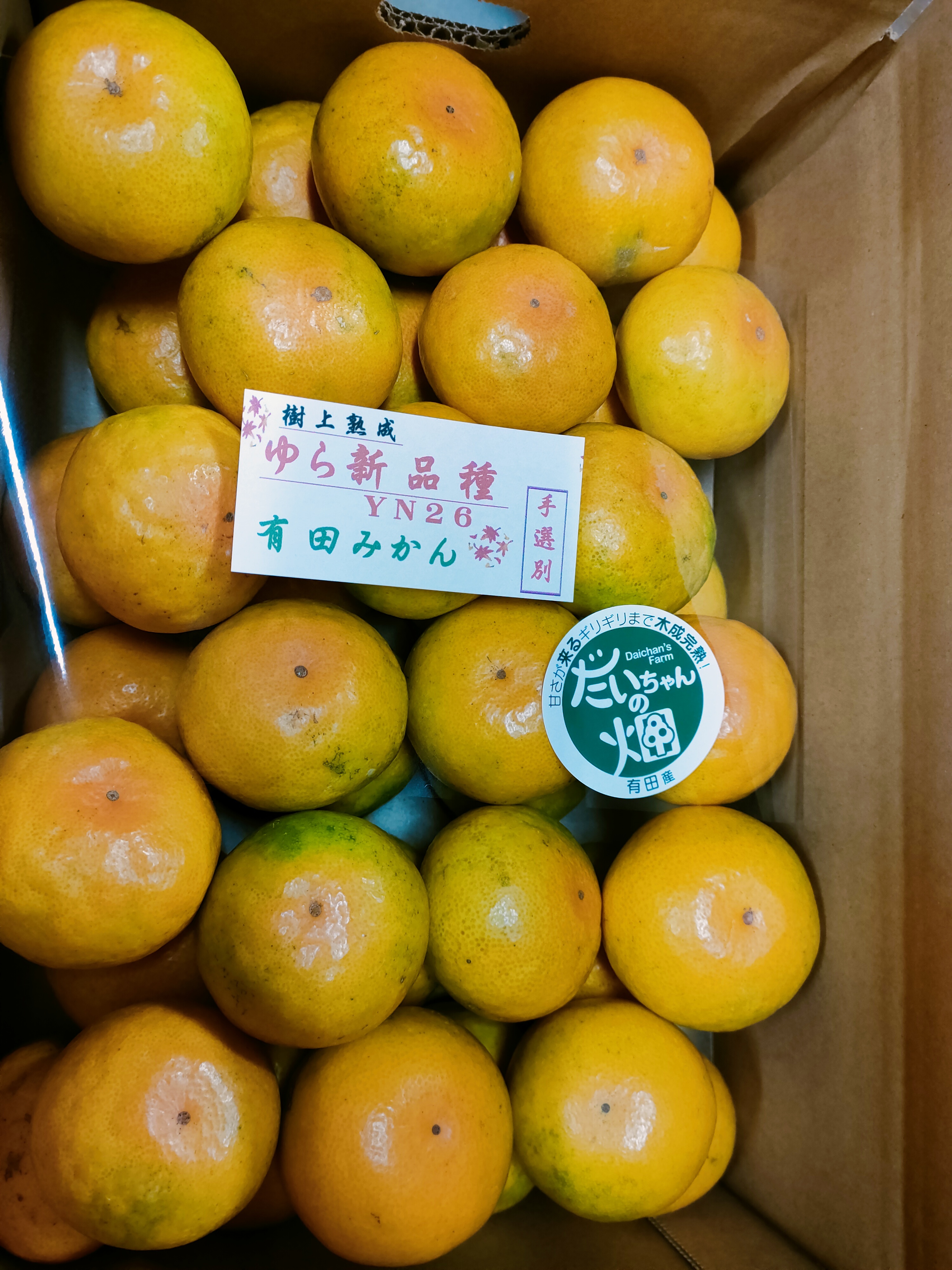 みかん YN26の産直通販・お取り寄せ商品｜ポケットマルシェ｜産地直送で