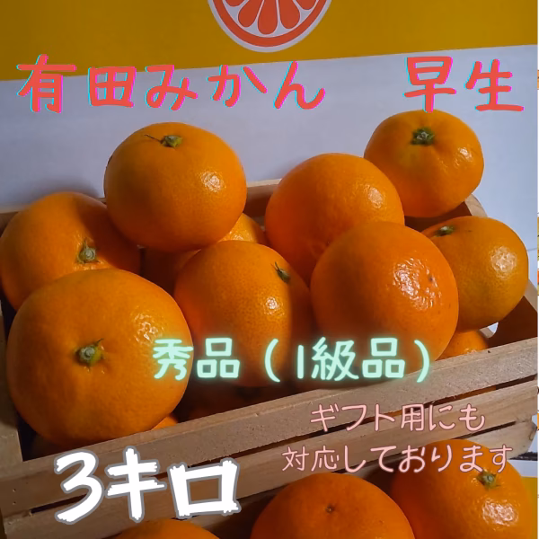 甘くて濃厚　有田みかん　みかん　早生　3キロ 1級品　秀品　ギフトにも　
