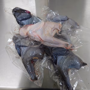 烏骨鶏と丸鶏の5羽セット（800～1kg×5）