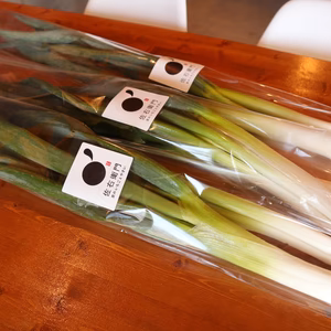 京・伝統野菜『鷹峯ねぎ』１kg