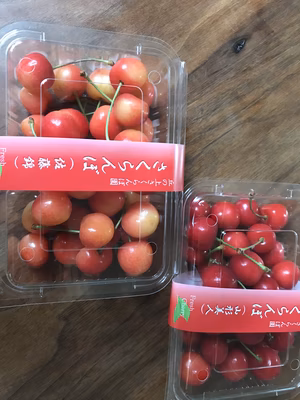 みんなの投稿の画像