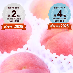７月下旬予約【極甘まるでマンゴー！】【糖度１５度以上保証】サンつきあかり桃