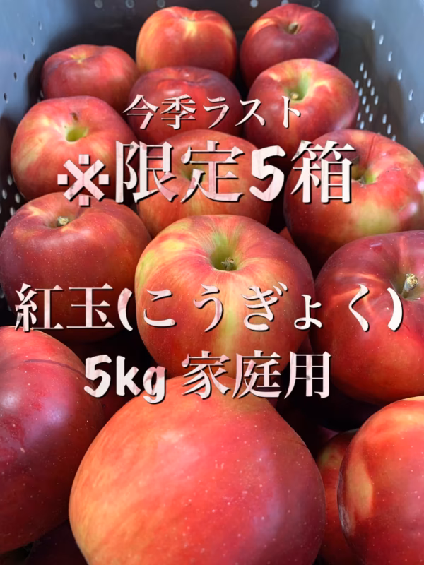 限定5箱！安曇野松川村産【紅玉】5k家庭用　