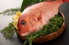 【驚きの新鮮さ！】スーパーでは出会えない品質の鯛！捌き立てを味わう！