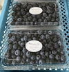 ♢✦国産早生✦♢ 大粒ブルーベリー食べ比べセット（100g×4）*農薬不使用