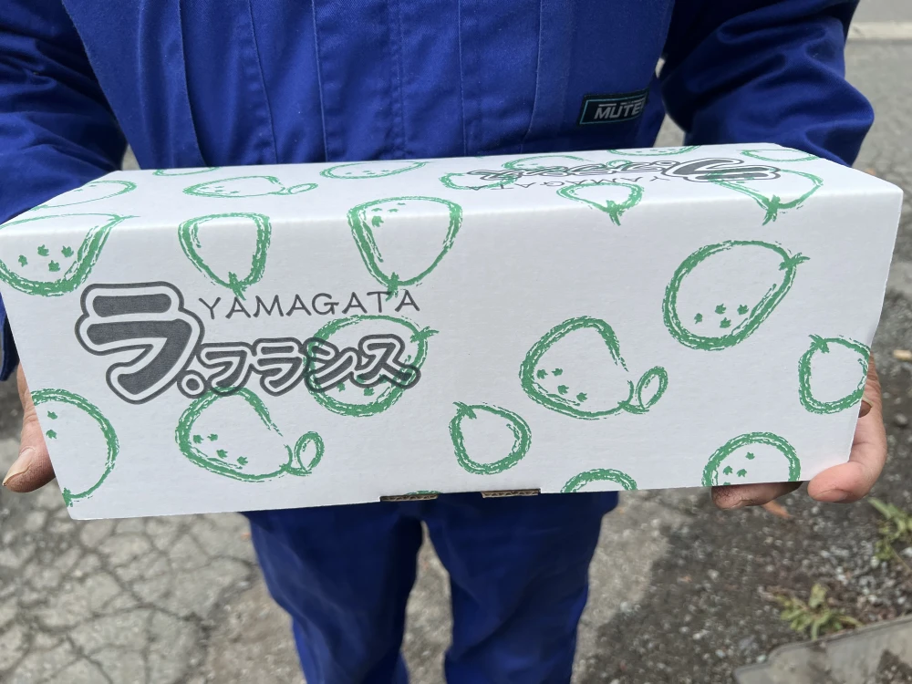 超大玉‼️厳選ギフト　3個入り
