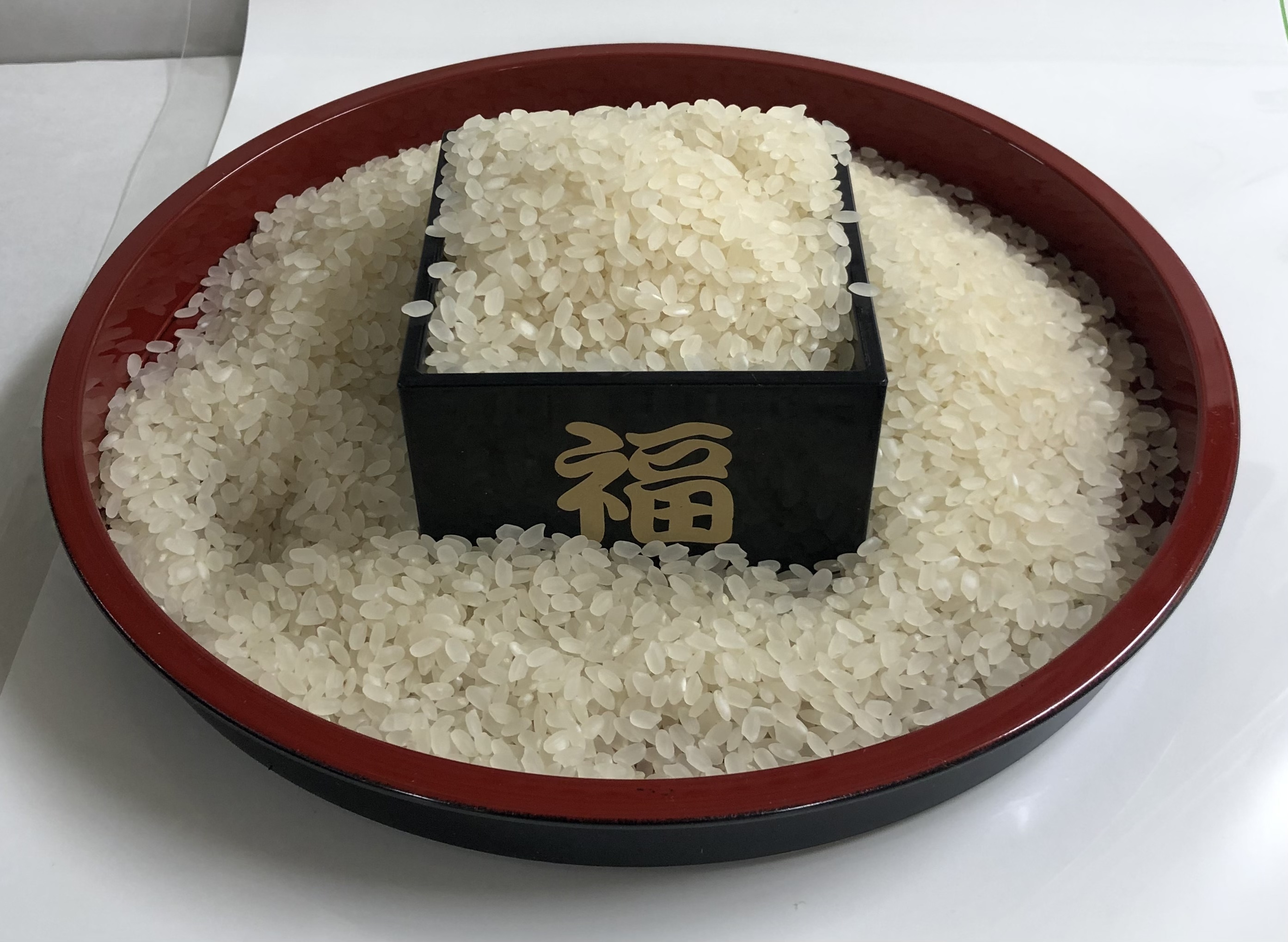 栃木米、新米コシヒカリ（R3年産）玄米10kg.、農家直送の自家米