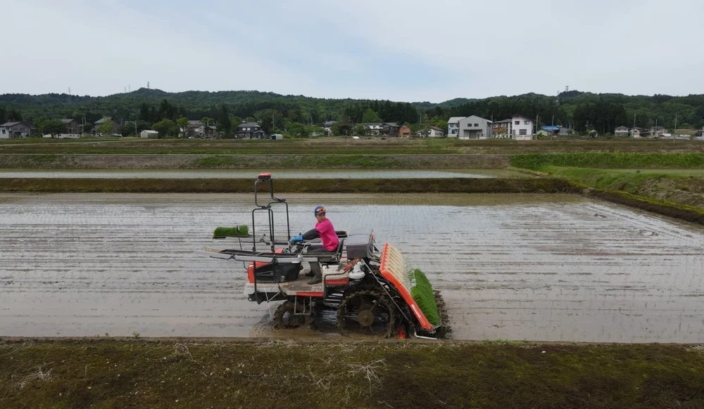 【2022年新米】ふっくら旨い 魚沼産コシヒカリ 5kg 精米