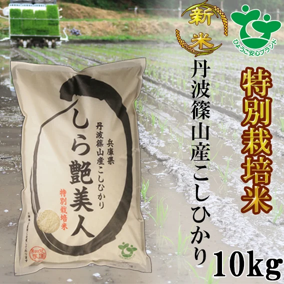 【新米】お米ソムリエが作るお米 丹波篠山産コシヒカリ 10㎏ 特別栽培米 