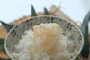 白い塩辛(柚子胡椒)
