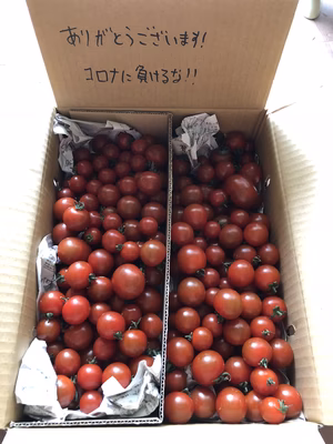 みんなの投稿の画像