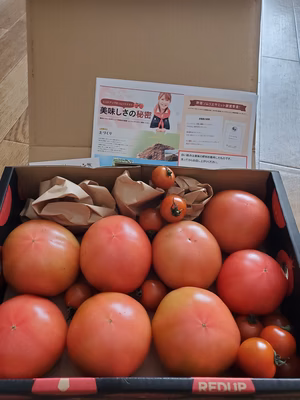 みんなの投稿の画像