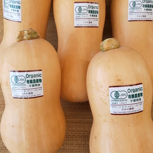 甘くて濃厚‼️バターナッツカボチャ   有機JAS認証