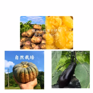3品目セット"農家の中でも『幻』のじゃがいもとかぼちゃと熊本茄子！ 毎年完売！