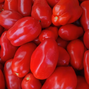 一瞬一旬お野菜セット トマト増量版