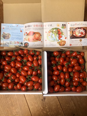 みんなの投稿の画像