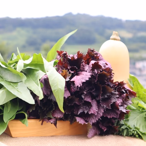 野菜の日を記念したお得な野菜セット(^^♪　いかがですか？