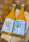 安政柑とみかんジュースセット【栽培期間中農薬不使用】