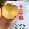 【佐賀県産】自慢の梨✨秋月(あきづき) 3キロ箱満杯詰
