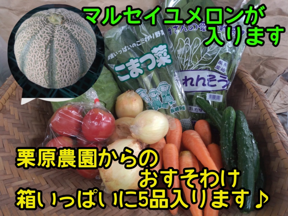 お得な野菜セット5品 お野菜 マルセイユメロン 農家漁師から産地直送の通販 ポケットマルシェ