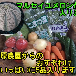 【お得な野菜セット5品✨箱いっぱい*】お野菜＋マルセイユメロン　ゆうパック便