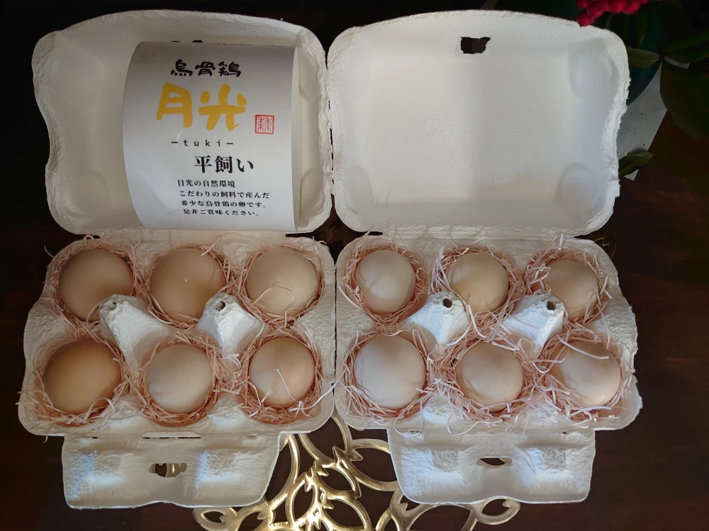 平飼い烏骨鶏の卵１２個（１個の重量３０ｇ以上）