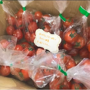 【冷蔵配送】あまい！糖度8度のフルーツトマト　ラブリーさくら　200g×10p