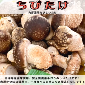 【大人気】大人気☆チビしいたけ！そのまま使える♪1kg【限定販売】