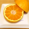 ポケマル４周年記念価格「ふぁおの柑橘3種セット」（12月発送）