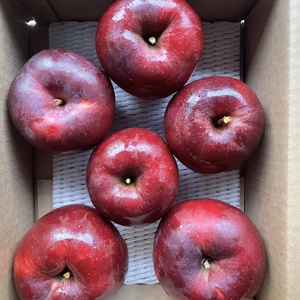 【ご家庭用】訳ありりんご こうみつ