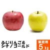 ふじりんご&シナノゴールド【家庭用5kg】二種食べ比べ☆10月下旬頃出荷予定