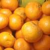 訳あり【農薬不使用】無農薬有田みかん『東北』地域向け