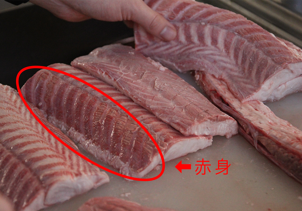 サメの刺身はトロに匹敵 は本当 漁師直送のサメをプロが本気で料理してみた 農家漁師から産地直送の通販 ポケットマルシェ