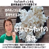 【送料無料】生鮮ハナビラタケ200g×6袋　焙煎ハナビラタケ茶30g×1袋